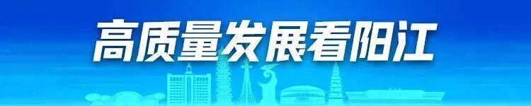 PP模拟器官网-海豚赢了！